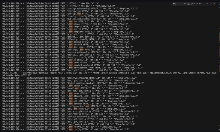 Nginx Access Logs